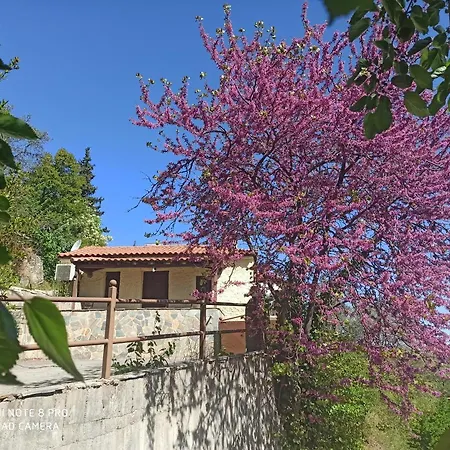Forestrock Studio For Sale Too Sparta Exterior foto