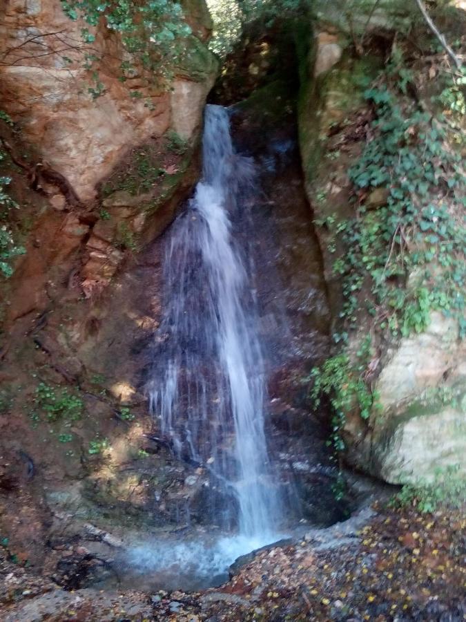 Forestrock For Sale Too Σπίτι διακοπών Σπάρτη