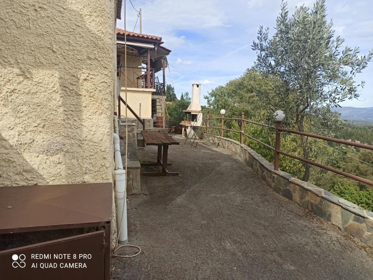 Ferienhaus Forestrock For Sale Too Sparta
