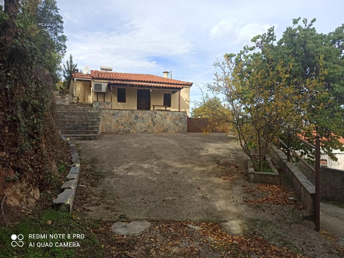 Ferienhaus Forestrock For Sale Too Sparta