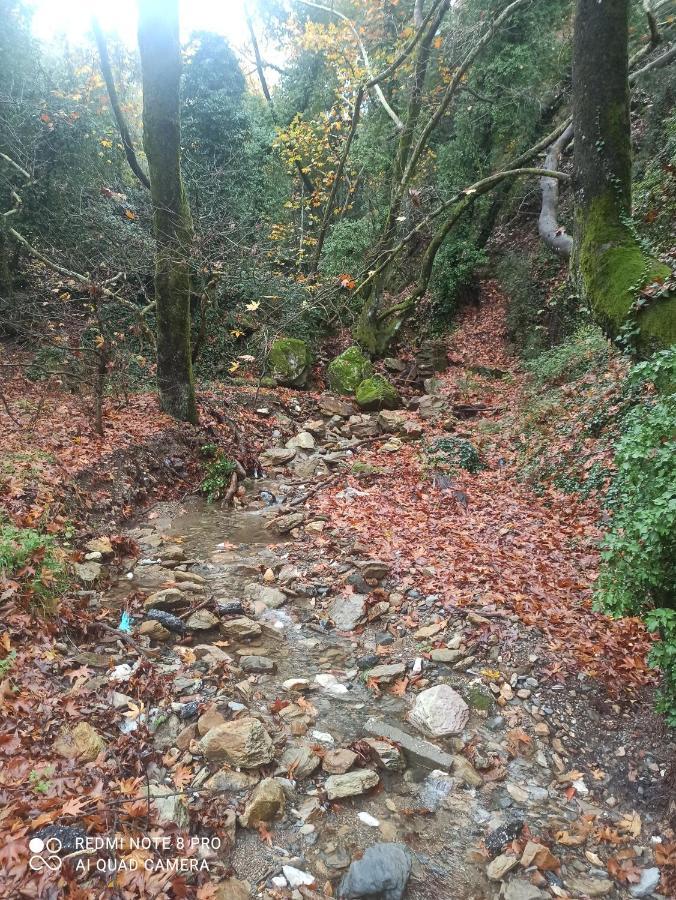 Forestrock For Sale Too Holiday home *